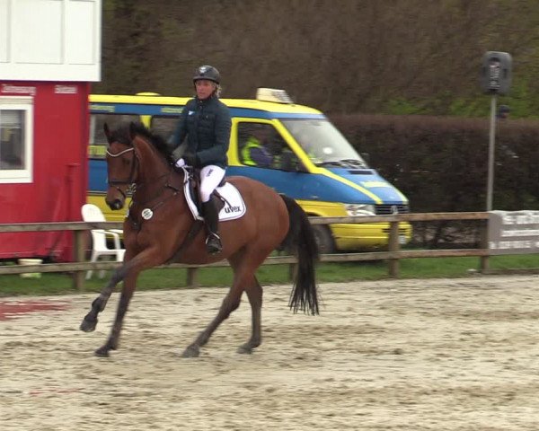 Reitturnier Münster-Handorf 2021