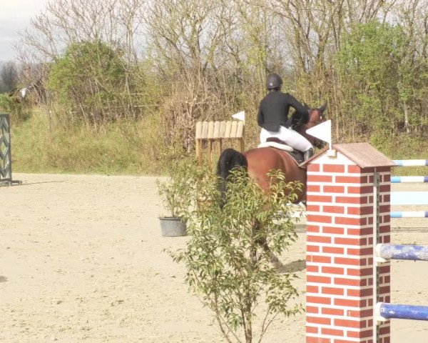 Reitturnier Nordheim-Wattenheim 2021