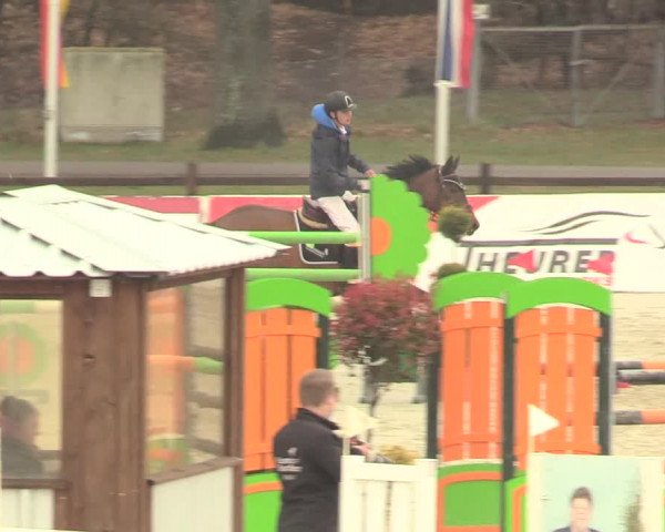 Reitturnier Westergellersen 2021