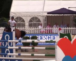 Springpferd Dominart (Belgisches Warmblut, 2003)