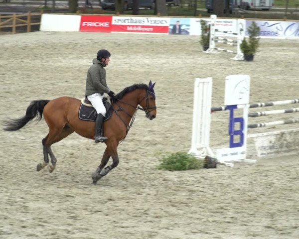 Reitturnier Westergellersen 2021