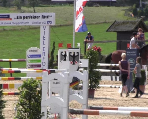 jumper Santiago 162 (Hanoverian, 2000, from Stakkato)