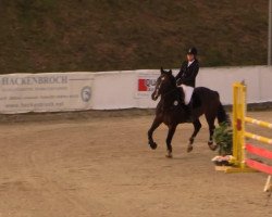 jumper Perle Du Buisson (Zangersheide riding horse, 2005, from Poor Boy)