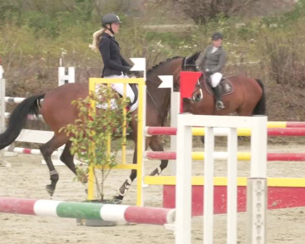 Reitturnier Nordheim-Wattenheim 2021