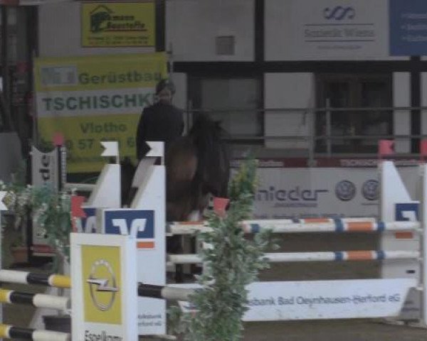 broodmare Luna Lovegood 4 (Oldenburg, 2007, from Luxius)