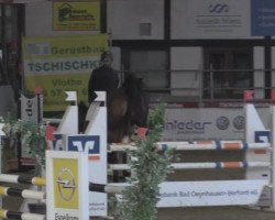 broodmare Luna Lovegood 4 (Oldenburg, 2007, from Luxius)