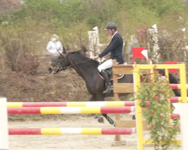 Reitturnier Nordheim-Wattenheim 2021