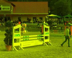 jumper Abu Simbel 7 (Haflinger, 1999, from Almstern)