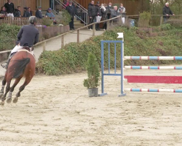 Reitturnier Nordheim-Wattenheim 2021