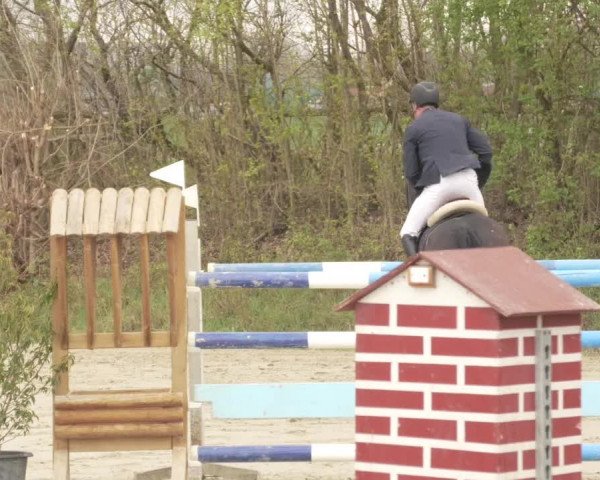Reitturnier Nordheim-Wattenheim 2021