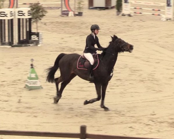 Reitturnier Westergellersen 2021