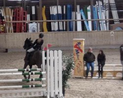 jumper Gitan 63 (Polish Warmblood, 2002)
