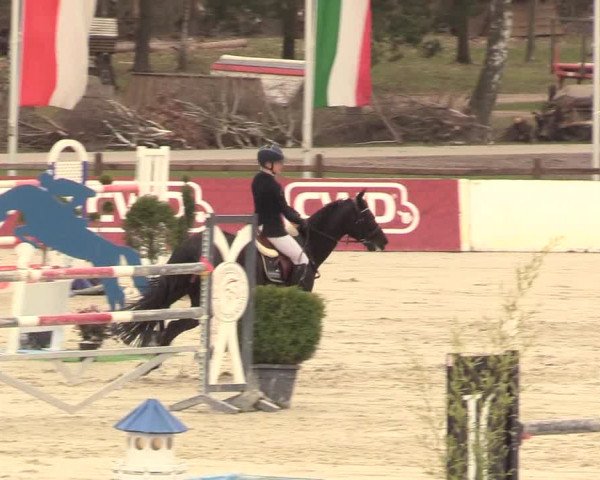 Reitturnier Westergellersen 2021