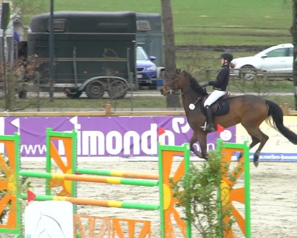 Reitturnier Westergellersen 2021