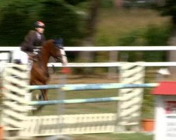 jumper Queen 124 (Oldenburg, 2004, from Quidam's Rubin)
