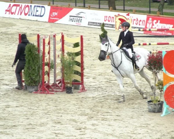 Reitturnier Westergellersen 2021