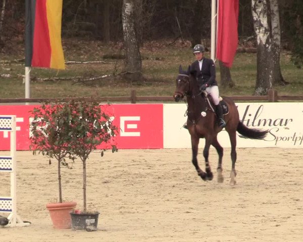 Reitturnier Westergellersen 2021