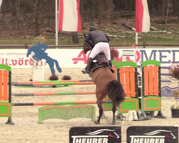 Reitturnier Westergellersen 2021