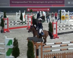 Jumper Dustin 159 (Oldenburger, 1997, from Don Primero)