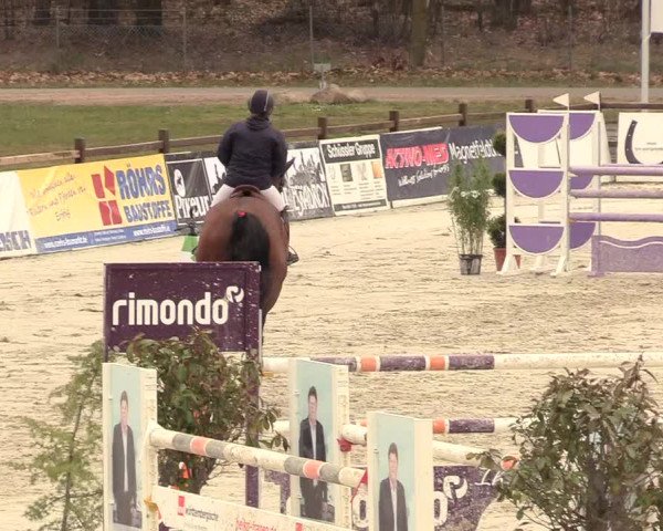 Reitturnier Westergellersen 2021