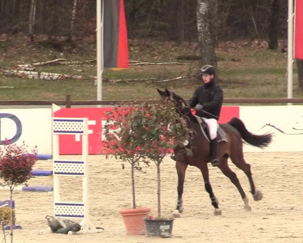 Reitturnier Westergellersen 2021