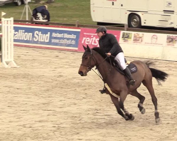 Reitturnier Westergellersen 2021