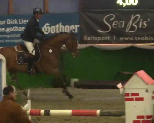 jumper Lionel S (Oldenburg, 2006, from Lavall I)