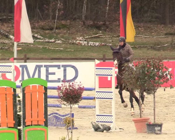 Reitturnier Westergellersen 2021