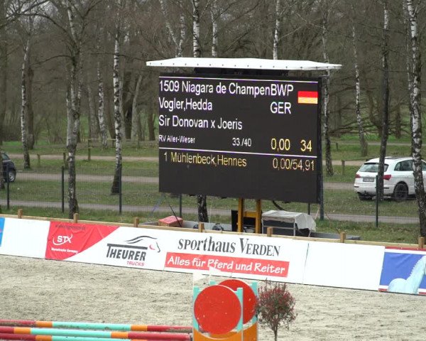 Reitturnier Westergellersen 2021