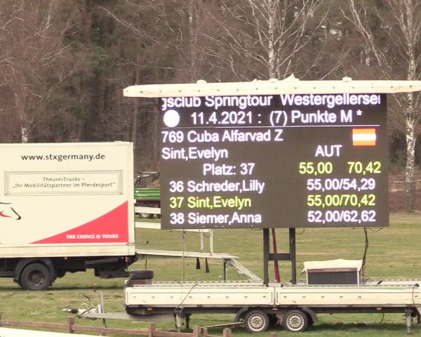 Reitturnier Westergellersen 2021