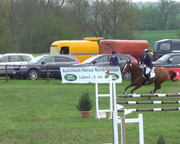 jumper Wesciana (Hanoverian, 2003, from Worldly I)