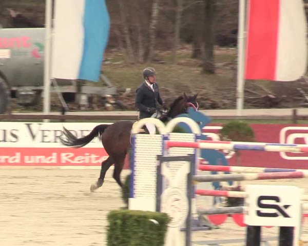 Reitturnier Westergellersen 2021