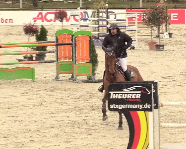 Reitturnier Westergellersen 2021