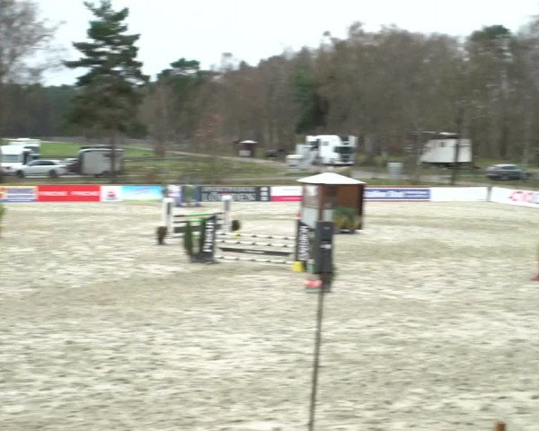Reitturnier Westergellersen 2021