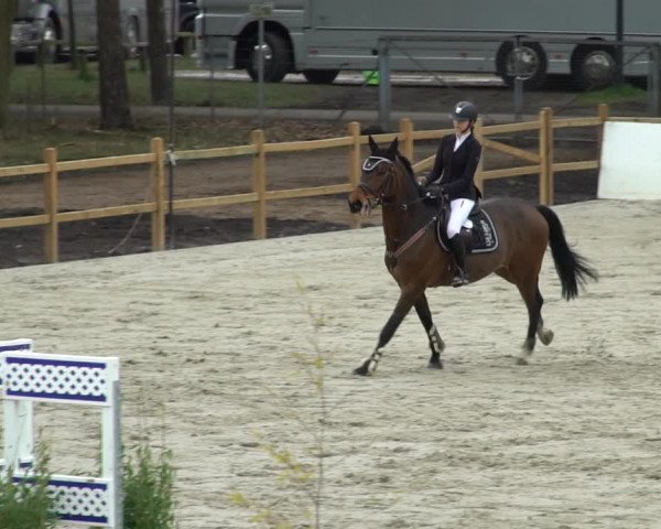 Reitturnier Westergellersen 2021
