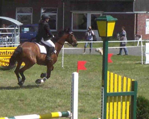jumper Lord Gallerhad (Holsteiner, 1998, from Limbus)