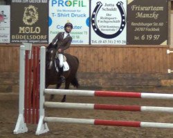 broodmare Uletta 5 (Holsteiner, 2004, from Caretino)
