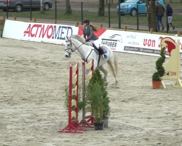 Reitturnier Westergellersen 2021