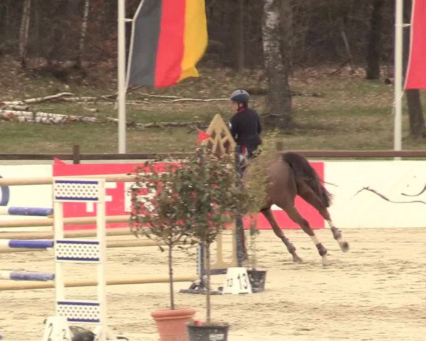 Reitturnier Westergellersen 2021