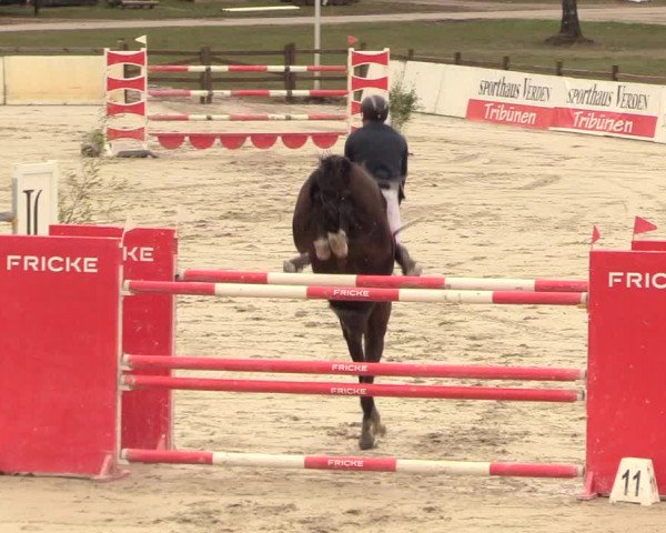 Reitturnier Westergellersen 2021