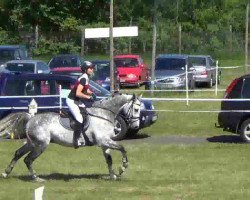 Caballo de salto Climax 2 (Holsteiner, 2004, de Clearway)