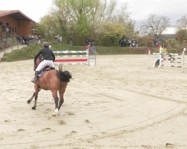 Reitturnier Nordheim-Wattenheim 2021
