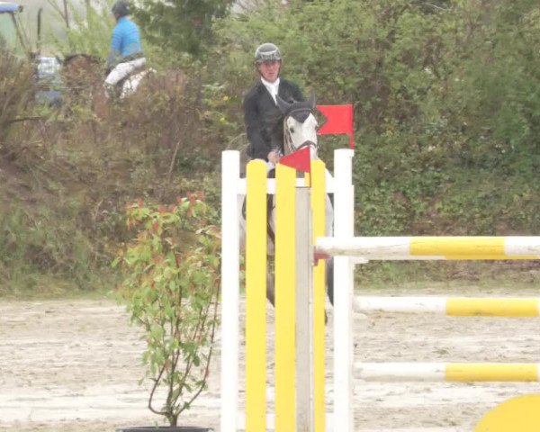 Reitturnier Nordheim-Wattenheim 2021