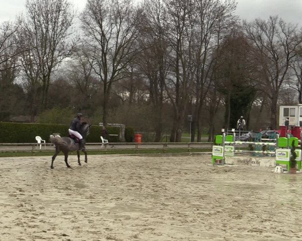 Reitturnier Münster-Handorf 2021