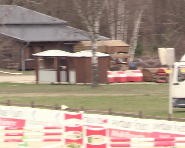 Reitturnier Westergellersen 2021