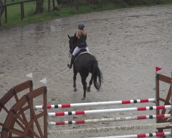 Reitturnier Erkrath - Uhlenhof 2021