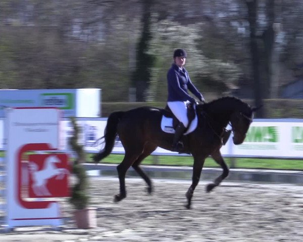 Reitturnier Münster-Handorf 2021