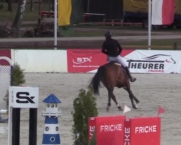 Reitturnier Westergellersen 2021
