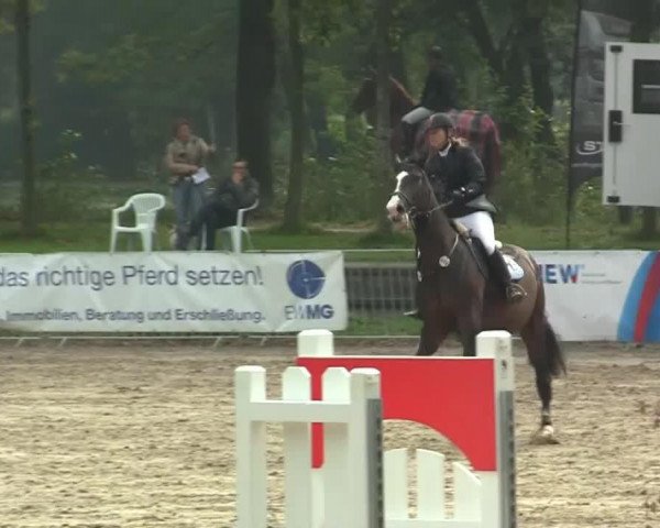 jumper Roulette F. (Holsteiner, 2001, from Unbekannt)