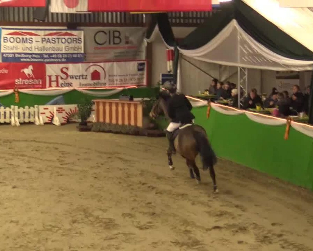 jumper Casper S2 (Holsteiner, 2001)
